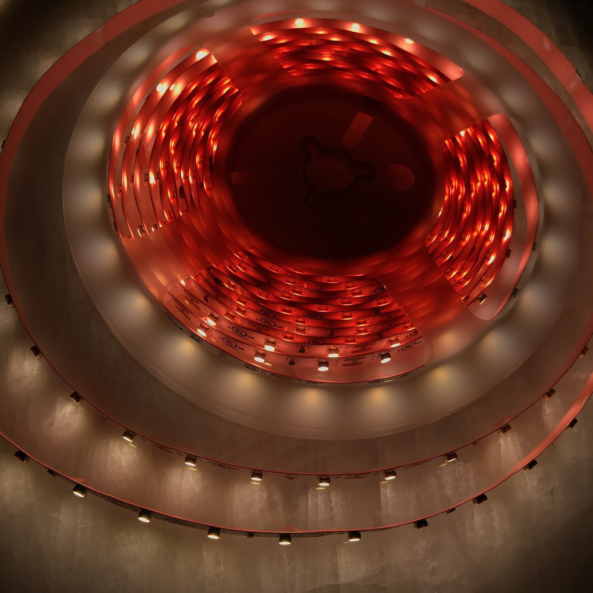 4.8w High CRI LED Strip ~ Protea Series - Wired4Signs USA - Buy LED lighting online
