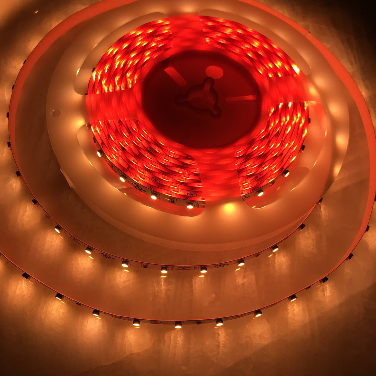 4.8w High CRI LED Strip ~ Protea Series - Wired4Signs USA - Buy LED lighting online
