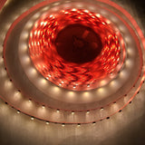 4.8w High CRI LED Strip ~ Protea Series - Wired4Signs USA - Buy LED lighting online