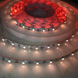 4.8w High CRI LED Strip ~ Protea Series - Wired4Signs USA - Buy LED lighting online
