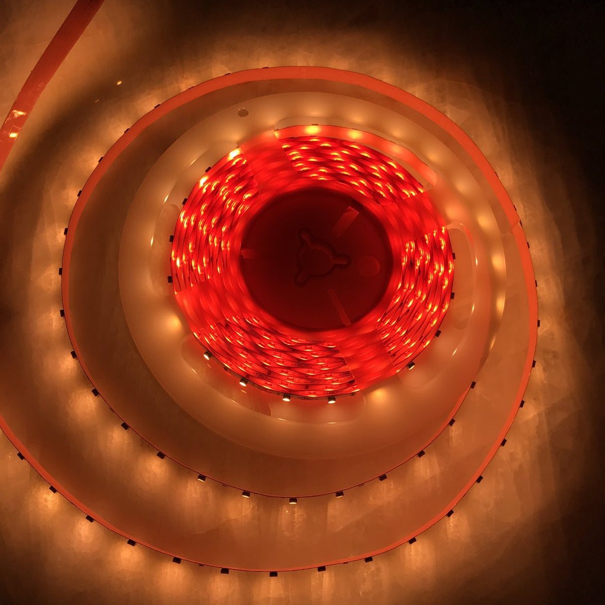 4.8w High CRI LED Strip ~ Protea Series - Wired4Signs USA - Buy LED lighting online