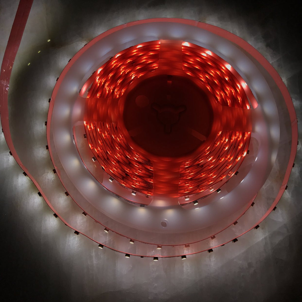 4.8w High CRI LED Strip ~ Protea Series - Wired4Signs USA - Buy LED lighting online