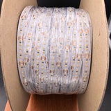 Single Color High Power IP68 Waterproof LED Strip (24V) ~ Carnation Series - Wired4Signs USA - Buy LED lighting online