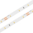Single Color High Power IP68 Waterproof LED Strip (24V) ~ Carnation Series - Wired4Signs USA - Buy LED lighting online